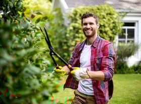 Sixty-three per cent of UK gardeners play music to their plants, research found (photo: Adobe)
