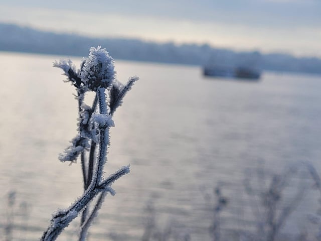 .:Winter walk on the Bay Road