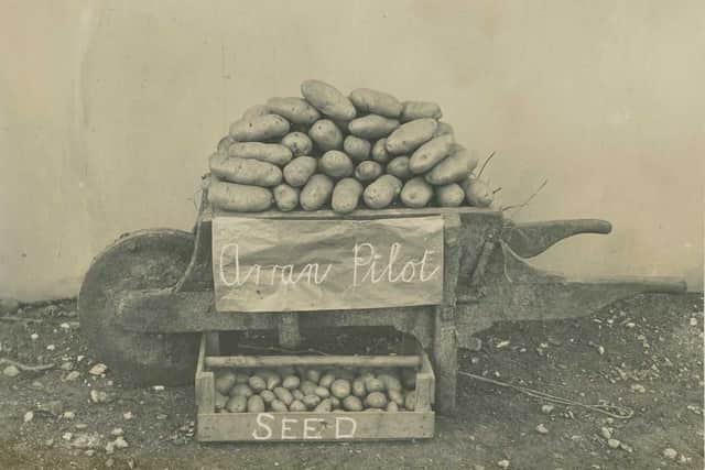 Photography from FARMWORK, a selection of Deirdre O'Mahony's work over the past ten years that is currently exhibiting at the Void.