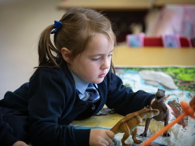 Eimear playing with her dinosaurs at Hollybush PS this week.
