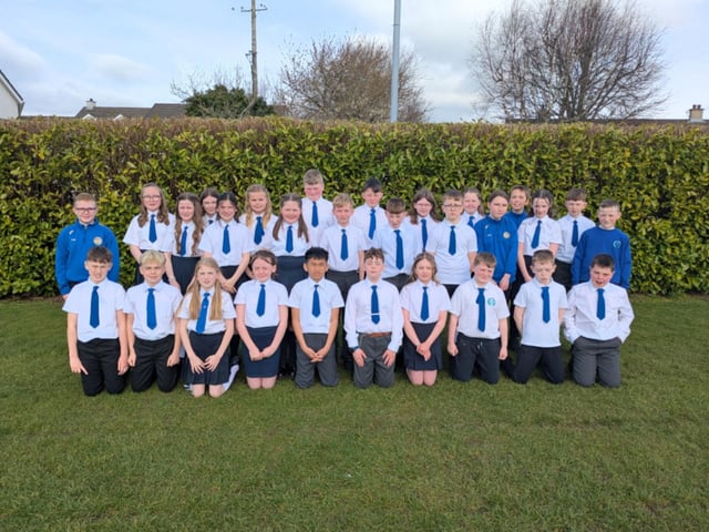 Termoncanice Primary 7 1