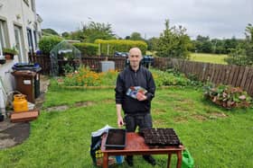 July offers a second window for sowing many different seeds.