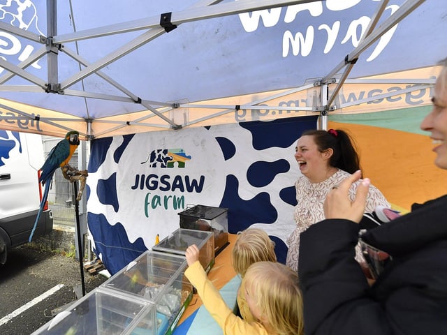 Having a laugh with the talking parrot at the Gasyard Feile’s Big Bog BBQ held at Pilot’s Row Centre on Saturday afternoon. Photo: George Sweeney
