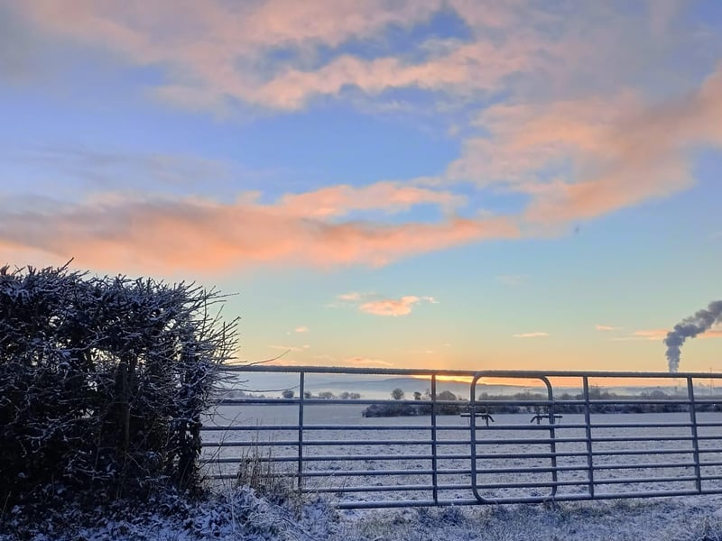 Culmore in the snow.