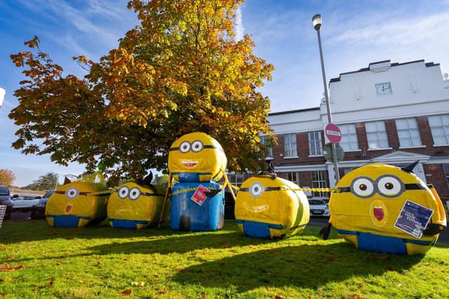The Minions on the Halloween hay trail Derry 7 Strabane 2022.