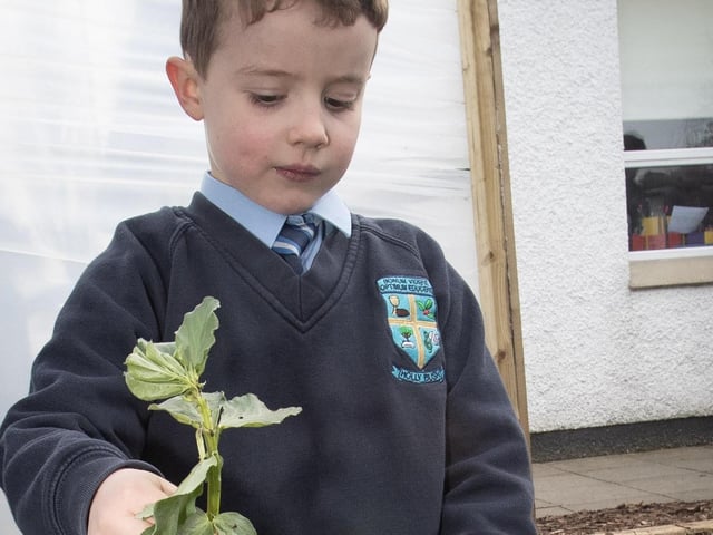 Hollybush pupil Liam hard at work.