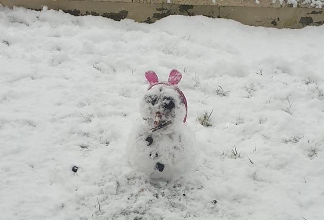 From Helena Fox: 'My grandson James snow rabbit'.
