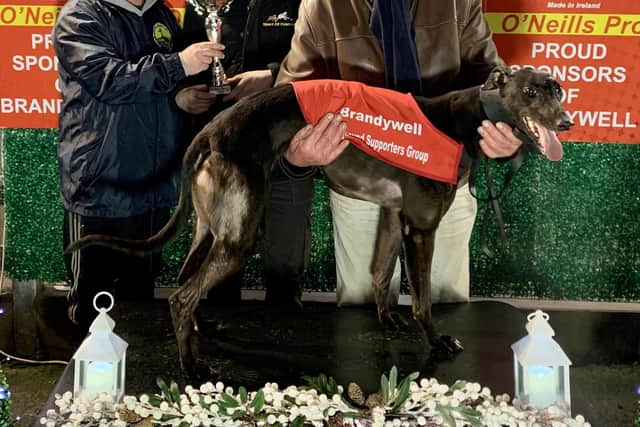 Beanos Snowflake who won the William Mullan 500 in 27.96 with (from left) Mark Canning, Tom Mullan and owner Colm Sweeney.