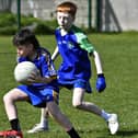 Our Lady of Fatima PS against Sacred Heart PS (2) in the Cumann na mBunscol Derry city championships qualifiers held in Pairc Na Piarsaigh.  Photo: George Sweeney