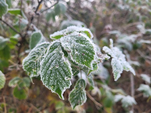 .:Winter walk on the Bay Road
