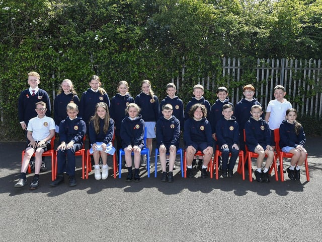 Mr O’Donnell’s P 7 class at Holy Child Primary School.