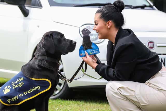 Pictured is guide dog puppy Milo with influencer and NI campaign ambassador Roisin Doherty.