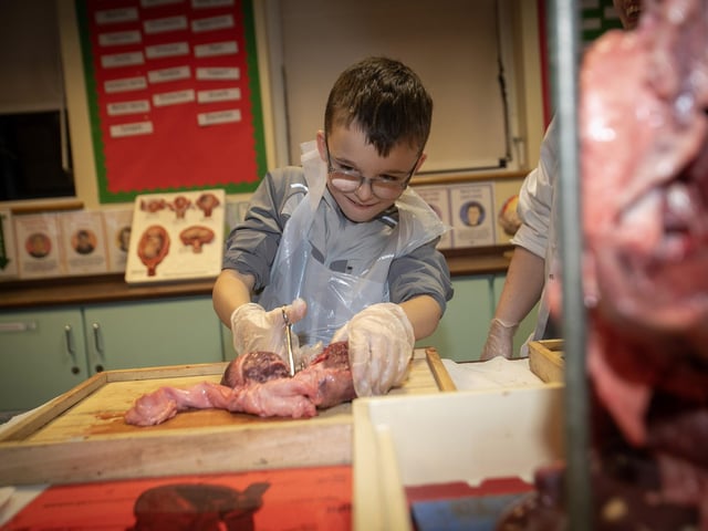 Long Tower PS pupil Sean Truson hard at work in the Biology Department at St. Joseph's on Thursday night.