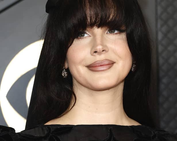 Lana Del Rey  (Photo by Frazer Harrison/Getty Images)