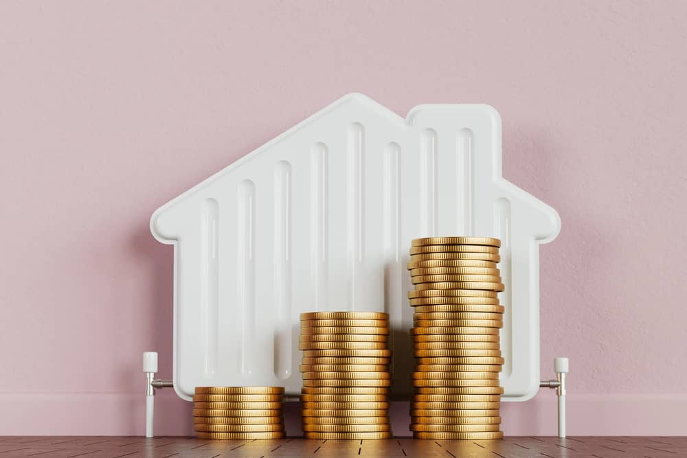 £600 Energy Bills Support payment due from mid-January