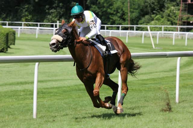Top tips before the Grand National.