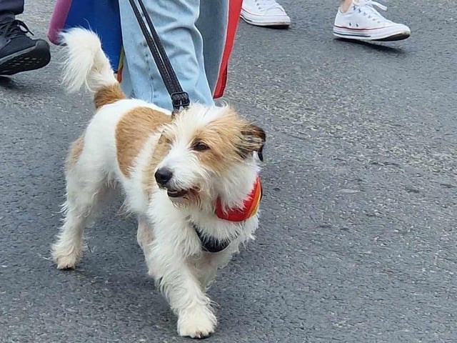 Inishowen Pride Parade