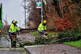 Removal of fallen tree from Creggan Road. Photo: George Sweeney