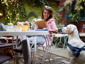 More than a third of surveyed Brits refuse to dine at a restaurant that doesn’t accept pets (photo: Adobe)
