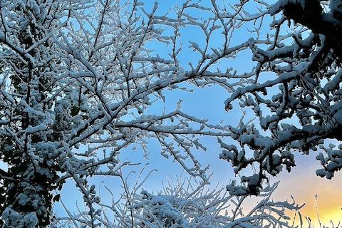 Derry in the snow