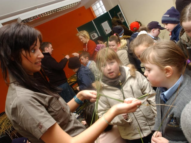 Sinead Heraghty from Creggan Country Park teaching children how to make St Brigid's crosses.