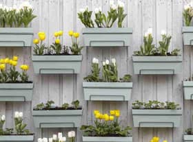 Gardening Express say vertical gardening is one of 2023's gardening trends