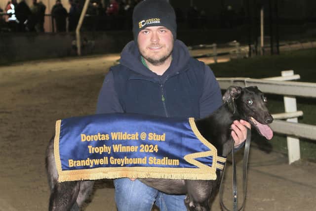 The Dorotas Wildcat winner Regent Sky with Kyle Porter on behalf of the Watch-And-Learn-Syndicate. Photo by John Killen.