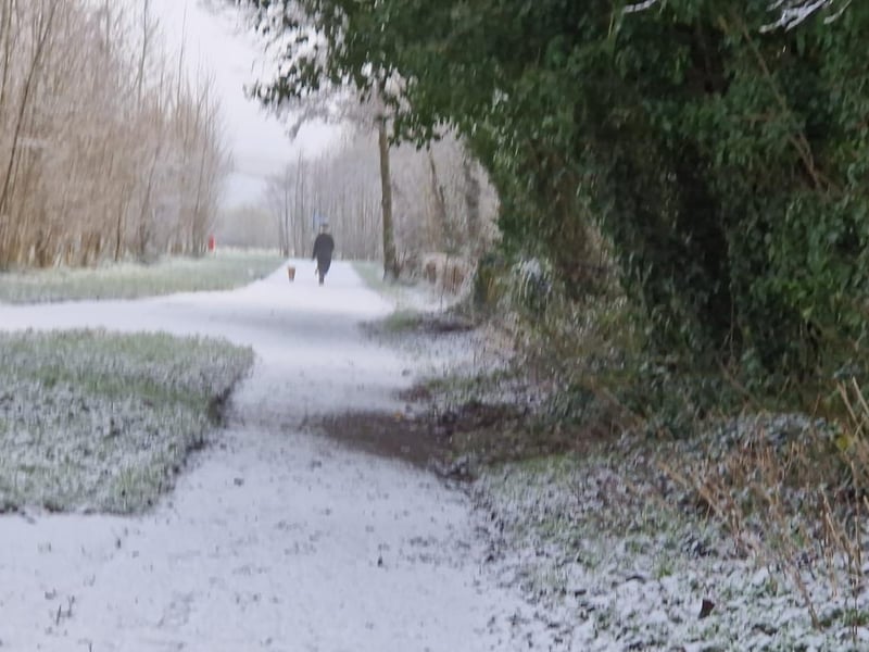Derry in the snow.