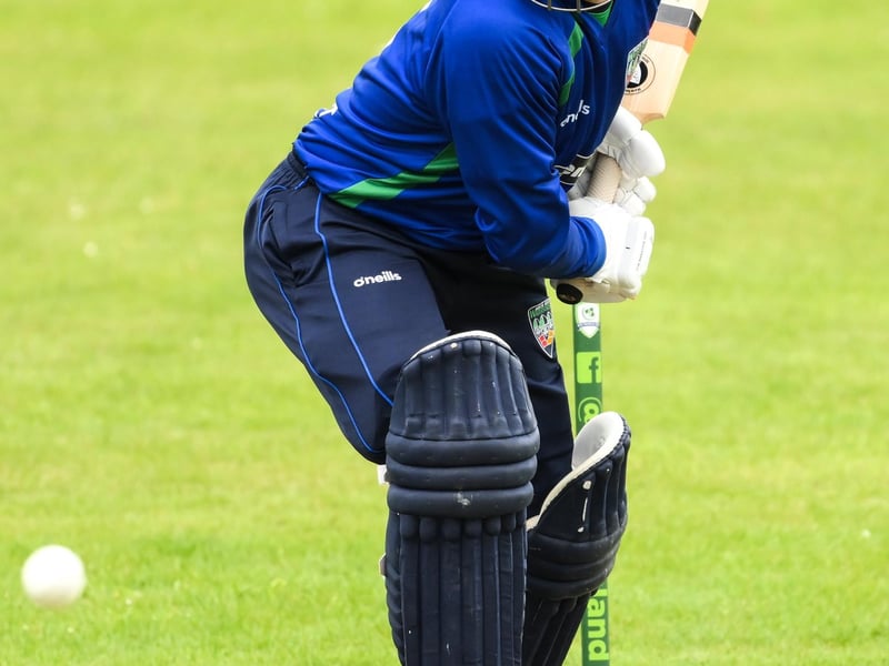 Former Ireland captain William Porterfield. Picture by Stephen McCarthy/Sportsfile