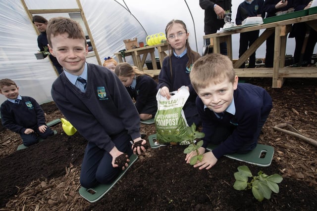 Pupils Ollie, Catherine and Cody hard at work planting in their new polytunnel.