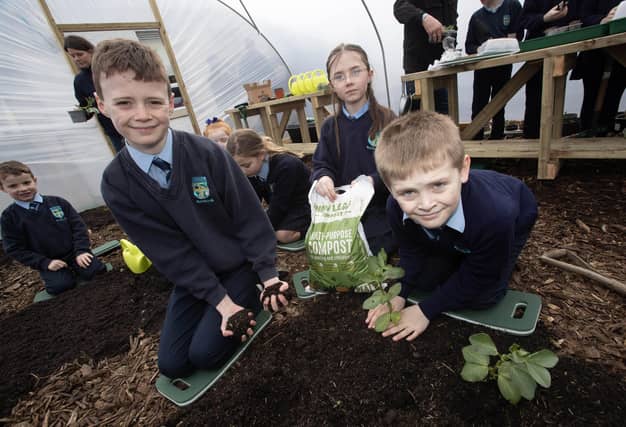 Pupils Ollie, Catherine and Cody hard at work planting in their new polytunnel.