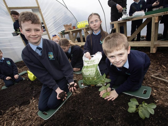 Pupils Ollie, Catherine and Cody hard at work planting in their new polytunnel.