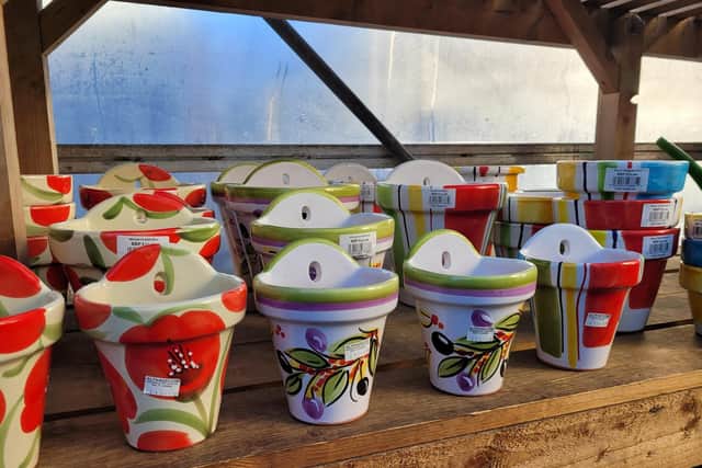 Colourful ceramic pots for sale in Altnagelvin Garden Centre.