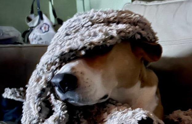 Rosco says 'no paparazzi please'