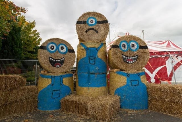 The amazing Halloween Hay Trail will return from 14-31 October with locations across the entire district. Visitors and locals can expect to see some scary ghosties and ghouls as well as the family favourites such as SpongeBob Square pants, Super Mario and the Minions. Among the locations currently in the trail include: Bready, Donemana, Glenmornan, Artigarvan, Ballymagorry, Strabane and Castlederg. Some incredible sculptures you can expect to see this year include SpongeBob Square Pants, Super Mario and Lego Frankenstein.