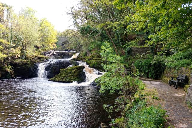 The stunning Mill River Walk is down some fern fringed steps and can be accessed along McCarter's Road to the side of the bridge.