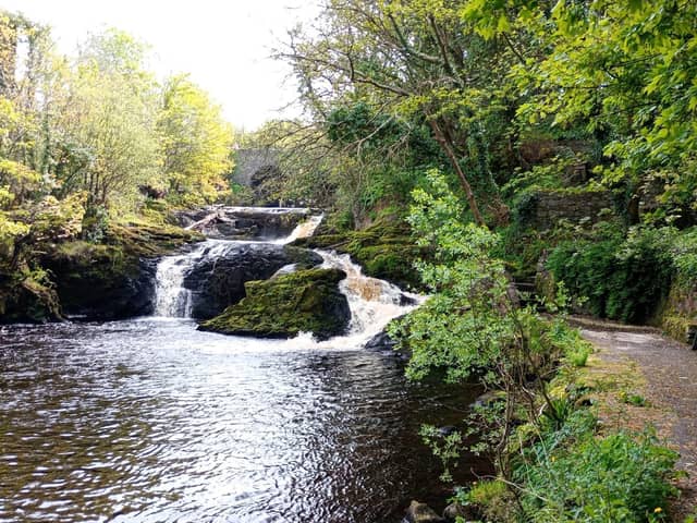 The stunning Mill River Walk is down some fern fringed steps and can be accessed along McCarter's Road to the side of the bridge.