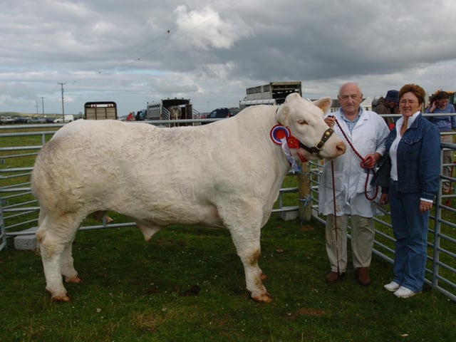 Gerry and Noreen Gallagher, Carrigart, pictured witht heir prizewinning Bullock winner of the any age and overall category at Clonmany Show. (0508A25) : Clonmany Festival, Vintage Show, Agricultural Show and Raft Race in August 2005.