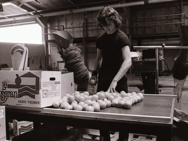 40 years ago: 1984 Quigg's Fruit Store at Springtown in Derry.