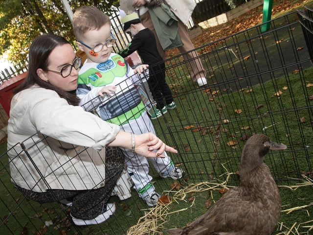 Checking out some of the farm animals during last week's Halloween fun.