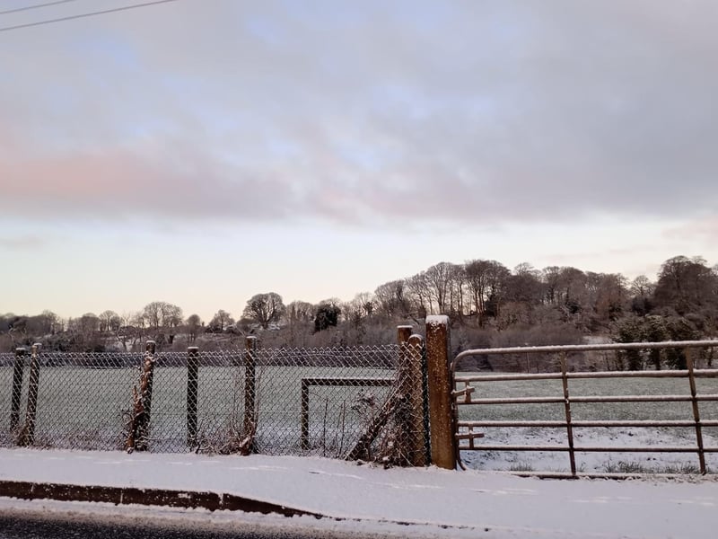 Culmore in the snow.
