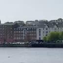 A dolphin or porpoise surfacing (bottom left) in the River Foyle in Derry city centre on Thursday.