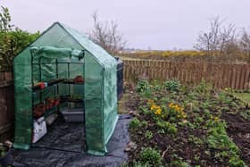 My new walk-in greenhouse, which cost £66.39.