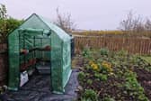 My new walk-in greenhouse, which cost £66.39.