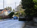Fallen trees at on Culmore Road during a previous . Photo: George Sweeney