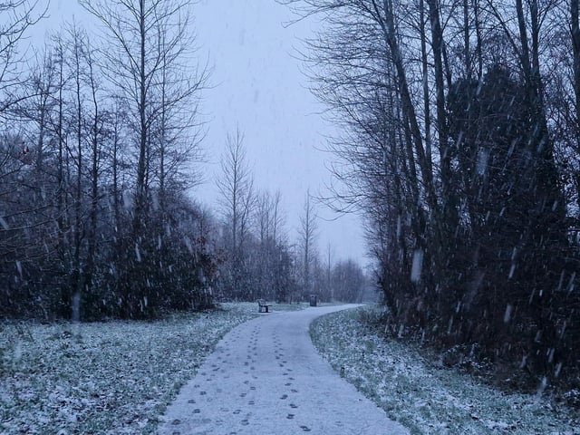 Bay Road Park Local Nature Reserve receives a blanket of snow.