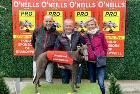Olwinn Swift pictured with winning owner, Oliver Canavan (centre) and guests from Germany who were at their first ever greyhound meeting; Markus and Heike Graskamp.