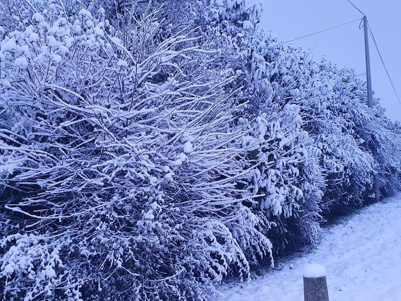 Derry Journal readers' snow pics