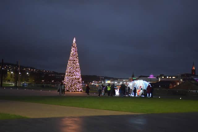 One of the Christmas trees in Derry. (File picture) Photo:George Sweeney