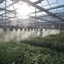 Its ultra-efficient tree nursery in Fife is the world’s first to be verified carbon-negative
